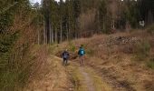 Trail Walking La Roche-en-Ardenne - Balade à Samrée - Photo 3