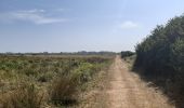 Trail Walking Penmarc'h - pointe de Penmarc'h - Photo 10