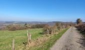 Tocht Stappen Durbuy - Heyd avec le chemin des crêtes  - Photo 13