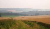 Trail On foot Anhée - Panorama de la Cour - Photo 1
