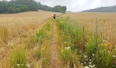 Excursión Senderismo Wavre - 2019-07-13 BVR  Wavre Reconnaissance - Photo 1