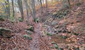 Trail Walking Spa - RS Spa 2024_11_17 - Photo 11