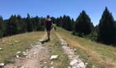 Trail Walking Torla-Ordesa - Torla collado del cebolar 16 km 1000 m den - Photo 12