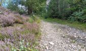 Tour Wandern Ferrières - xhoris adeps 15km 2024  - Photo 20