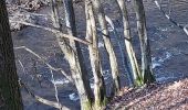 Excursión Senderismo Érezée - tire la gueule val de Aisne  - Photo 1