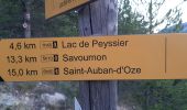 Trail Walking Esparron - ESPARON 05 . Lac de Peyssier . Col de  Peyssier o s - Photo 1