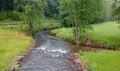 Trail On foot Lohr am Main - Ortswanderweg Lohr 8 - Photo 8