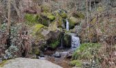 Tour Wandern Sasbachwalden - SASBACHWALDEN - Photo 1