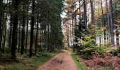 Trail Walking Libramont-Chevigny - Entre Vierre et Ourthe - Photo 1