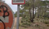 Tour Wandern Puget-sur-Argens - z la lieutenante 28-01-20 - Photo 6