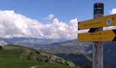 Trail Walking Thorame-Haute - Puy de rent - Photo 2