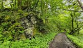 Tocht Stappen Vresse-sur-Semois - Promenade de la Roche à Campa - Orchimont - Photo 5