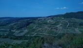 Tocht Stappen Menétru-le-Vignoble - Ménétru Blois sur Seilles Château Chalon 15 sept 2020CAF - Photo 1