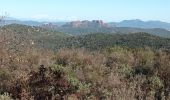 Tocht Stappen Les Arcs-sur-Argens - sommet des Terriers, les Arcs sur Argens, 15-11-23 - Photo 6