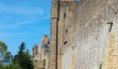 Trail Walking Carcassonne - carcassonne under the sun  - Photo 15