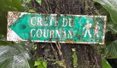 Tour  Le Morne-Rouge - Sainte Cécile/crête du Cournan/Beauvallon  - Photo 19