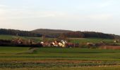 Tour Zu Fuß Kirchlauter - Lauftour KIR1 - Photo 3