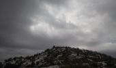 Trail On foot Golan Regional Council - Habushit Trail - Photo 1