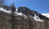 Excursión Raquetas de nieve Entraunes - Tête de Sanguinière - Photo 3