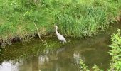 Tour Wandern Buc - Étangs de la Minière  - Photo 1