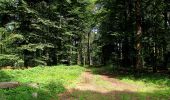 Tour Wandern Haramont - en forêt de Retz_79_08_2019_vers Taillefontaine et Retheuil par les lisières - Photo 9