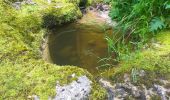 Tour Wandern Villers-le-Lac - Le Pisoux - Photo 18