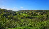 Trail Walking Thuin - Balade dans le Bois du Grand Bon Dieu-Thuin - Photo 19