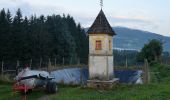 Tour Zu Fuß Birkfeld - Genussrundwanderweg Koglhof - Sallegg - Photo 8