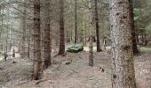 Percorso A piedi Sconosciuto - Tollymore Forest - The Drinns Trail - Photo 1