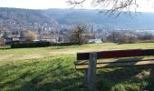 Tour Wandern Hamoir - HAMOIR (Vallée du Neblon) - Photo 9