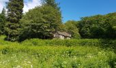 Randonnée Marche Fraisse-sur-Agout - Lac de Vésoles - Photo 3