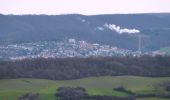 Tour Zu Fuß Duingen - DU 1 Panoramaweg Pottland - Photo 4