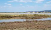 Excursión Bicicleta Piran / Pirano - Wikiloc - Secovle salina - Photo 20