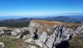 Tour Wandern Omblèze - Roc de Toulau - Photo 3