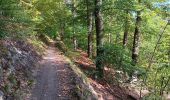 Trail Walking Theux - franchimont-maché . chinru - retour - Photo 12
