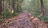 Trail Walking Liedekerke - 20221030 WSV De Pajotten 7 km - Photo 12