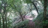 Trail Walking Sentheim - Par la forêt et le fil de l'eau - Photo 9