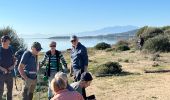 Trail Walking Leucate - Leucate par la rive de l’étang / le château  - Photo 2