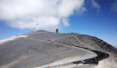 Tocht Stappen Brantes - Brantes-Ventoux-Frache-Brantes-Bis - Photo 7