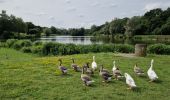 Tour Wandern Ottignies-Louvain-la-Neuve - les bruyères  - Photo 3