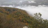 Trail Walking Saint-Hippolyte - Hippolyte  - Photo 19