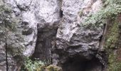 Tocht Noords wandelen Corrençon-en-Vercors - la glacière - Photo 2