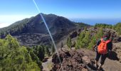 Tocht Stappen El Paso - dag 3 La Palma  - Photo 8