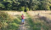 Tour Wandern Seraing - Balade du Val à Yvoz en forêt  - Photo 3