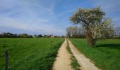 Tour Wandern Hommes - Hommes - GRP Castelvalérie - 26.8km 150m 5h45 (50mn) - 2023 04 05 - Photo 6