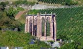 Tour Zu Fuß Lorch - Rhein-Wisper-Glück - Photo 8