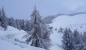 Excursión Raquetas de nieve La Bollène-Vésubie - Col de Turini a la pointe des 3 communes - Photo 3
