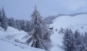 Percorso Racchette da neve Bollena - Col de Turini a la pointe des 3 communes - Photo 3