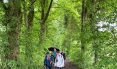 Trail Walking Clavier - Pailhe - Photo 8