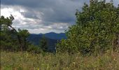 Excursión A pie okres Banská Štiavnica - Náučný chodník Milana Kapustu po žile Terézia - Photo 8